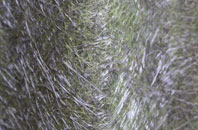 Chancery fibreglass roof work